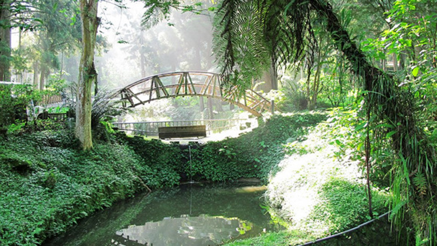 臺(tái)灣游感想