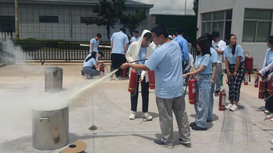 41182286.jpg image005.jpg